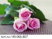 roses vintage. Стоковое фото, агентство Ingram Publishing / Фотобанк Лори