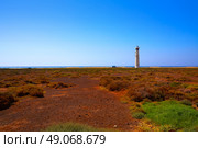 Morro Jable Matorral wetlands Jandia in Pajara of Fuerteventura at Canary Islands. Стоковое фото, агентство Ingram Publishing / Фотобанк Лори