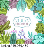 Succulents Background Illustration . Succulents decorative background with different types of cactuses flat vector illustration . Стоковая иллюстрация, агентство Ingram Publishing / Фотобанк Лори