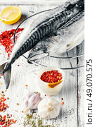 Thawed fresh fish mackerel with spices and marinade.Photograph high key. Carcasses frozen mackerel. Стоковое фото, агентство Ingram Publishing / Фотобанк Лори