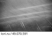 Czech Moravia hills. Agriculture . Arable lands in spring.            . Стоковое фото, агентство Ingram Publishing / Фотобанк Лори