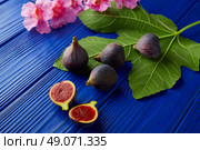 figs raw cutted fruits and fig tree leaves on blue wooden table. Стоковое фото, агентство Ingram Publishing / Фотобанк Лори