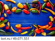 Mexican hot chili peppers colorful mix habanero poblano serrano jalapeno blue background. Стоковое фото, агентство Ingram Publishing / Фотобанк Лори