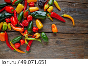 Mexican hot chili peppers colorful mix habanero poblano serrano jalapeno on wood. Стоковое фото, агентство Ingram Publishing / Фотобанк Лори