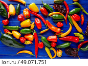 Mexican hot chili peppers colorful mix habanero poblano serrano jalapeno sweet. Стоковое фото, агентство Ingram Publishing / Фотобанк Лори