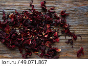 Jamaica flower for herbal iced tea from hibiscus Mexican beverages. Стоковое фото, агентство Ingram Publishing / Фотобанк Лори