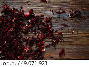 Jamaica flower for herbal iced tea from hibiscus Mexican beverages. Стоковое фото, агентство Ingram Publishing / Фотобанк Лори