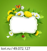 Fresh spring background with grass, dandelions and daisies. Vector. Стоковая иллюстрация, агентство Ingram Publishing / Фотобанк Лори