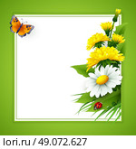 Fresh spring background with grass, dandelions and daisies. Vector. Стоковая иллюстрация, агентство Ingram Publishing / Фотобанк Лори