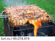 grilled chicken in barbecue grate. Стоковое фото, агентство Ingram Publishing / Фотобанк Лори