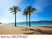 Cullera Playa los Olivos beach in Mediterranean Valencia at Spain. Стоковое фото, агентство Ingram Publishing / Фотобанк Лори