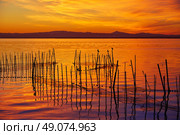 La Albufera lake sunset in El Saler of Valencia at Spain. Стоковое фото, агентство Ingram Publishing / Фотобанк Лори