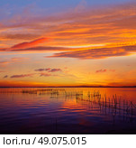 La Albufera lake sunset in El Saler of Valencia at Spain. Стоковое фото, агентство Ingram Publishing / Фотобанк Лори