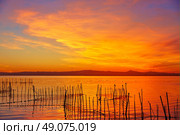 La Albufera lake sunset in El Saler of Valencia at Spain. Стоковое фото, агентство Ingram Publishing / Фотобанк Лори