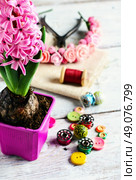 Pink hyacinth and tools for making jewelry for spring. Hyacinth thread decoration. Стоковое фото, агентство Ingram Publishing / Фотобанк Лори