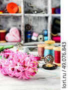 Pink hyacinth and tools for making jewelry for spring. Hyacinth thread decoration. Стоковое фото, агентство Ingram Publishing / Фотобанк Лори