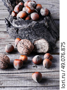 Autumn harvest walnuts and hazelnuts on wooden background. walnuts with hazelnuts. Стоковое фото, агентство Ingram Publishing / Фотобанк Лори