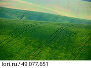 Green spring hills. Arable lands in Moravia. Стоковое фото, агентство Ingram Publishing / Фотобанк Лори