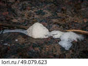 Melting snow in a river in the winter. Стоковое фото, агентство Ingram Publishing / Фотобанк Лори