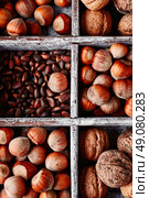 Wooden box with walnuts and pine nuts and hazelnuts. Box with nuts. Стоковое фото, агентство Ingram Publishing / Фотобанк Лори