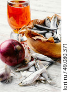 Glass of beer,smoked sprat,spices in traditional  rustic style. Стоковое фото, агентство Ingram Publishing / Фотобанк Лори