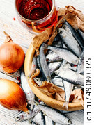 Glass of beer,smoked sprat,spices in traditional  rustic style. Стоковое фото, агентство Ingram Publishing / Фотобанк Лори