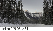 Snow covered roadway with mountain in winter, Emerald Lake, Yoho National Park, British Columbia, Canada. Стоковое фото, агентство Ingram Publishing / Фотобанк Лори