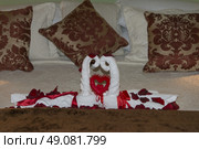 Towels shaped like swans in a hotel suite, Zona Centro, San Miguel de Allende, Guanajuato, Mexico. Стоковое фото, агентство Ingram Publishing / Фотобанк Лори