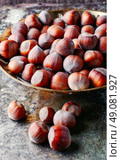 Fruits of hazelnut in the copper bowl and scattered near.. Fruits of hazelnut. Стоковое фото, агентство Ingram Publishing / Фотобанк Лори
