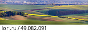 Green spring hills. Arable lands in Czech Moravia. April. Стоковое фото, агентство Ingram Publishing / Фотобанк Лори