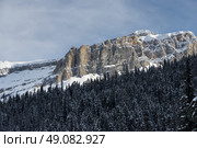 Snow covered trees with mountain in winter, Emerald Lake, Field, British Columbia, Canada. Стоковое фото, агентство Ingram Publishing / Фотобанк Лори