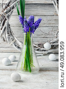 Cut branches of hyacinths in glass flask.Photography in a light tone. Still life with hyacinths. Стоковое фото, агентство Ingram Publishing / Фотобанк Лори