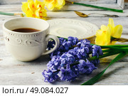 Cup of tea,a branch cut hyacinth and narcissus. Стоковое фото, агентство Ingram Publishing / Фотобанк Лори