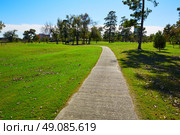 Houston Hermann park conservancy green grass in Texas. Стоковое фото, агентство Ingram Publishing / Фотобанк Лори