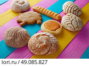 Mexican pastries concha puerquito ojo buey in a colorful wood background. Стоковое фото, агентство Ingram Publishing / Фотобанк Лори