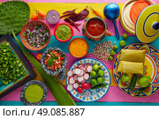 Mexican food mix with sauces nopal and tamale agave guacamole. Стоковое фото, агентство Ingram Publishing / Фотобанк Лори