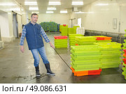 piles of plastic crates. Стоковое фото, агентство Ingram Publishing / Фотобанк Лори