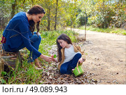 Mother and daughter in a park picking clover plants. Стоковое фото, агентство Ingram Publishing / Фотобанк Лори