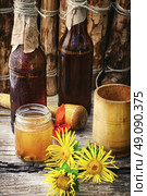 Tincture of elecampane. Medicinal folk remedy tincture from the roots of inula. Стоковое фото, агентство Ingram Publishing / Фотобанк Лори