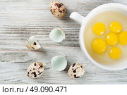 Quail egg yolks in a white plate on a wooden background. Top view. Стоковое фото, агентство Ingram Publishing / Фотобанк Лори