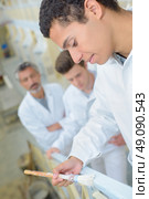 Apprentice painting railing. Стоковое фото, агентство Ingram Publishing / Фотобанк Лори