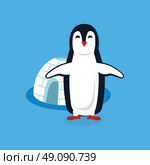Animal penguin design flat. Bird penguin vector, cartoon polar animal winter isolated, wild penguin character near house vector illustration on blue background. Стоковая иллюстрация, агентство Ingram Publishing / Фотобанк Лори