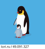 Animal penguin design flat. Bird penguin family vector, cartoon polar animal winter isolated, wild penguin character illustration. Стоковая иллюстрация, агентство Ingram Publishing / Фотобанк Лори