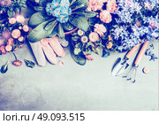 Lovely gardening border with assortment of garden flowers , work gloves and garden tools, top view. Vintage toned. Стоковое фото, агентство Ingram Publishing / Фотобанк Лори
