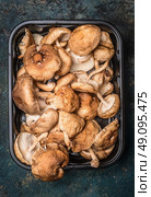 Shiitake mushrooms in  plastic box packaging tray, top view, close up. Стоковое фото, агентство Ingram Publishing / Фотобанк Лори