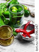 yield of cucumber,pepper,spices and fennel for pickling. Стоковое фото, агентство Ingram Publishing / Фотобанк Лори