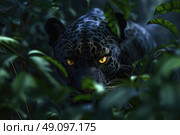 A black panther with piercing yellow eyes peers out from behind thick green foliage, camouflaged in the lush jungle. Стоковое AI-изображение, AI-художник Данила Большаков / Фотобанк Лори