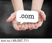Dot com written on a speechbubble. Стоковое фото, агентство Ingram Publishing / Фотобанк Лори