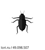 Protaetia May Bug Insect Design Flat. Protaetia may bug insect design flat. Small insect chafer with black legs and antennae and black wings folding in the shell. Wildlife creating isolation on white background. Vector illustration. Стоковая иллюстрация, агентство Ingram Publishing / Фотобанк Лори