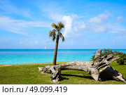Key West beach Fort Zachary Taylor Park in Florida USA. Стоковое фото, агентство Ingram Publishing / Фотобанк Лори